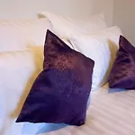 Comfy Apartment