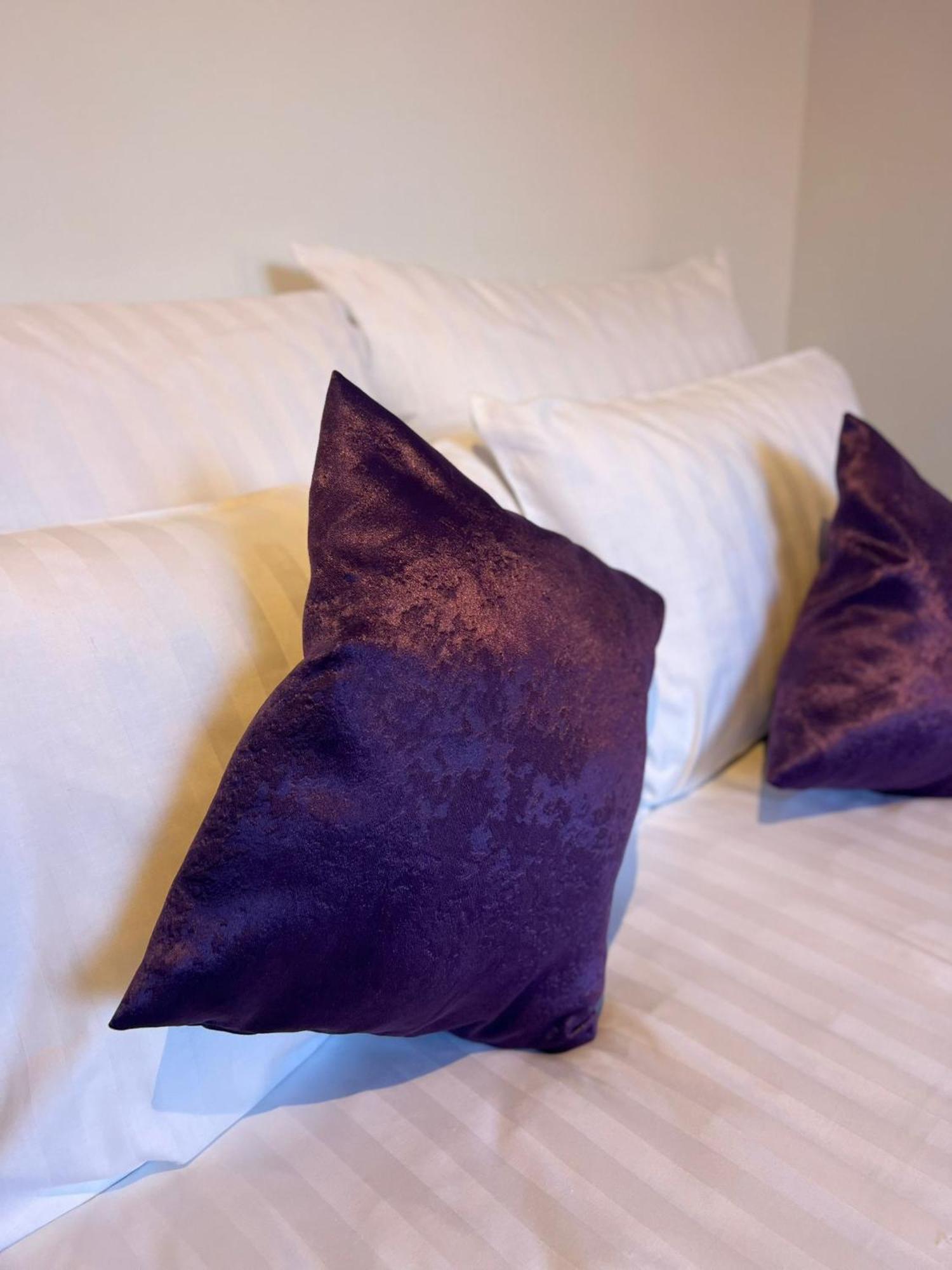 Comfy Brasov